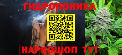 сатива Дубна