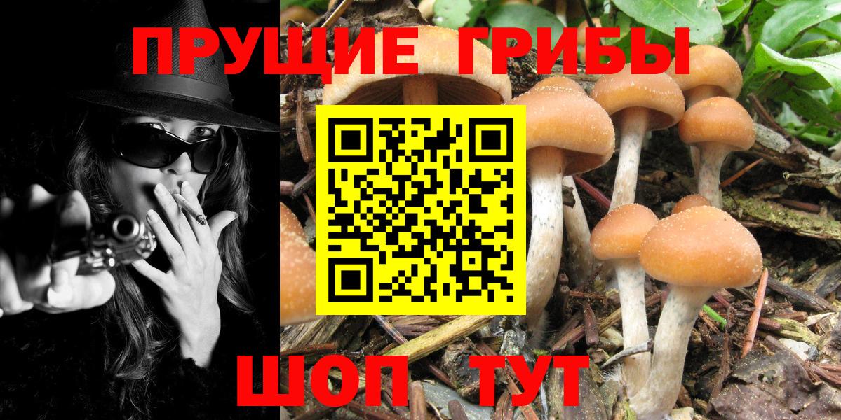 Галлюциногенные грибы Magic Shrooms Можайск
